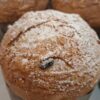 Panettone