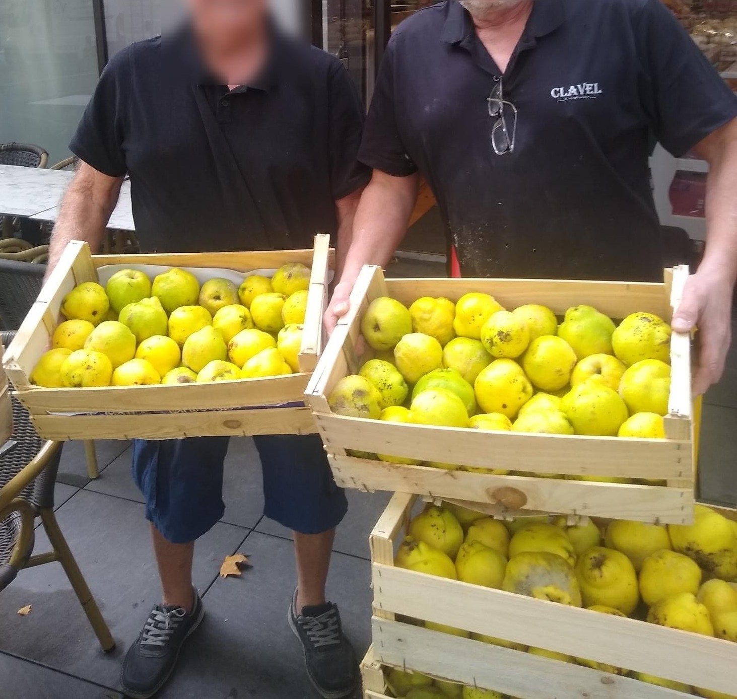 Les coings 2025 Les coings 2025